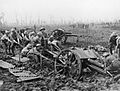 The Battle of Passchendaele, July-november 1917 Q6236