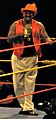 The Godfather Hulkamania Tour 2009