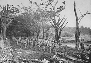 US Marines advance towards Talasea on New Britain March 1944