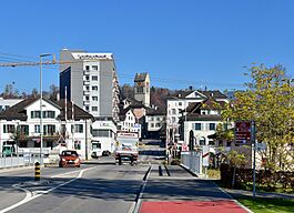 Uznach - Grynaustrasse 2015-11-10 13-25-46 (cropped).JPG