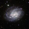 View of the southern spiral NGC 300