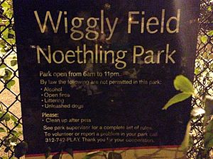 Wiggly field park Chicago