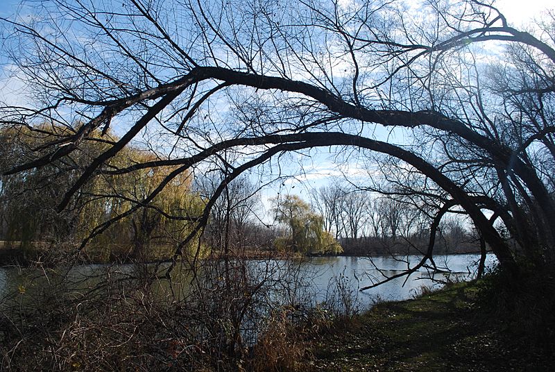 Yahara River Viking Park