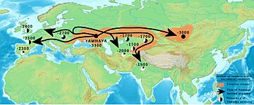 Yamnaya Steppe Pastoralists