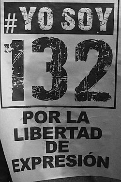 YoSoy132