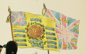 88th Foot Colours.png