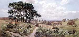 A Surrey Heath by Gertrude Eleanor Spurr Cutts, 1898