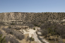 A dry wash in the high country to the east of Guadalupe Mountains National Park, which is split between Hudspeth and Culberson counties in Texas, along the New Mexico border LCCN2014631694