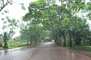 Acceso a Montecarlo (Misiones).jpg