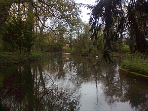 Adderbury Lake (the northern end) (geograph 2935627)