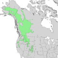 Alnus incana ssp tenuifolia range map 1