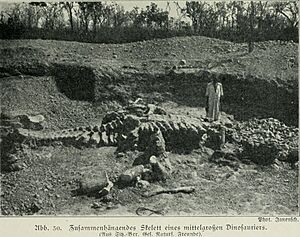 Am Tendaguru - Leben und Wirken einer deutschen Forschungsexpedition zur Ausgrabung vorweltlicher Riesensaurier in Deutsch-Ostafrika (1912) (17977534130)