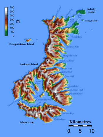 Auckland islands topo.png