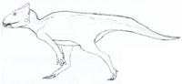 Auroraceratops LM.png