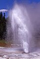 Aurum geyser