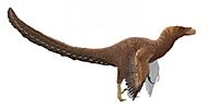 Bambiraptor reconstruction.jpg