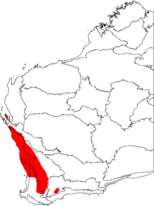 Banksia prionotes map