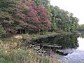 Beyer's Pond, Cleveland Metroparks