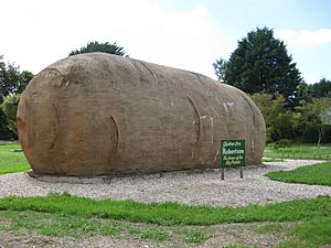 Big Potato in Robertson, NSW
