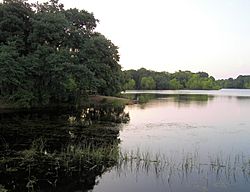 Buescher state park 2007.jpg