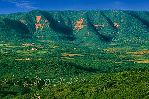 CHAPADA DO ARARIPE 01