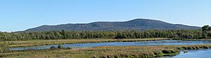 CINLB - 20120916 - Mont Shefford