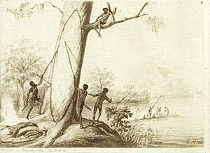 Canoe making
