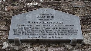 Carrickbeg Saint Molleran's Church Memorial Plaque Mary Rice 2015 09 16