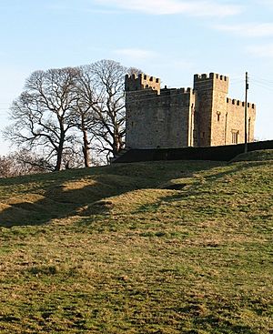 Cowton Castle - geograph.org.uk - 1104614