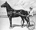 Danpatch1