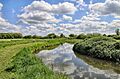 East-Fen-Common-Soham