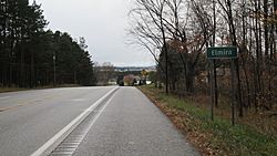 Elmira, MI road signage