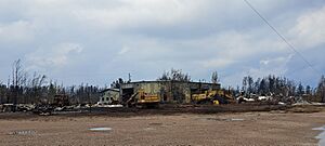 Enterprise after 2023 wildfires (2)