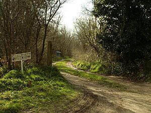 Entrance to Tiger Hill Wood - geograph.org.uk - 373955