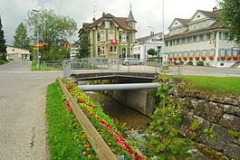 Enziwiger en Hergiswil che Willisau 328.jpg