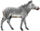 Equus grevyi (white background).png