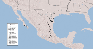 Eucteniza distribution.png