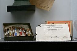 Evidence against Han van Meegeren - pigments