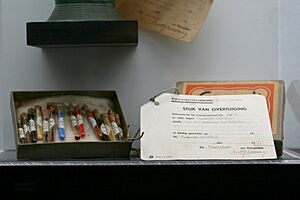 Evidence against Han van Meegeren - pigments