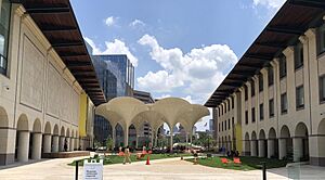 Exterior grounds and plaza by Snøhetta at the Blanton Museum of Art in Austin--photo by Steven Saylor.jpg