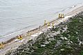 Federal and local agency workers help clean up the beaches affected by an oil spill March 27, 2014, in Texas City, Texas 140327-G-MK467-004