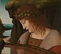 Follower of Giovanni Antonio Boltraffio - Narcissus