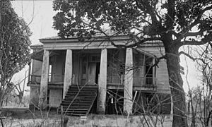 Freeman Plantation House, Jefferson, Texas (cropped)