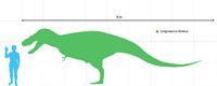 Gorgosaurusscale