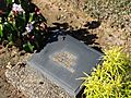 Grave of Unknown Indian Army Soldier - Taukkyan War Cemetery - Taukkyan - North of Yangon (Rangoon) - Myanmar (Burma) (11816857663)