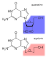Guanosine-acyclovir-comparison