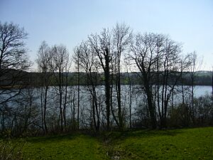 Hüttwilersee2