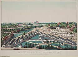 HAREWOOD HOSPITAL, WASHINGTON D.C.jpg