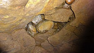 Holms Game Larder, Crawick Water, Sanquhar. Repaired collapse