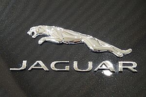 Jaguar - logo (MSP16).jpg